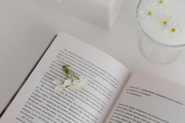spring cherry blossoms on a white table with a book