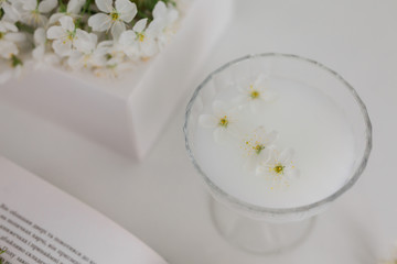 spring cherry blossoms on a white table with a book