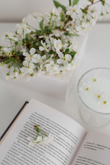 spring cherry blossoms on a white table with a book