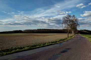 Fototapeta premium road to the sky