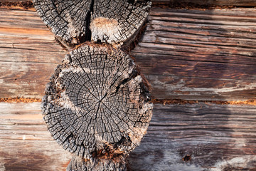 wooden texture cut logs of russian house