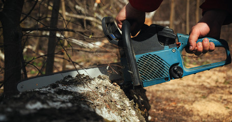 Wood cutting a chainsaw. Lumberjack cuts firewood with a saw
