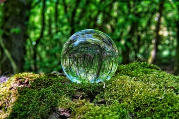 Lens Ball in the woods