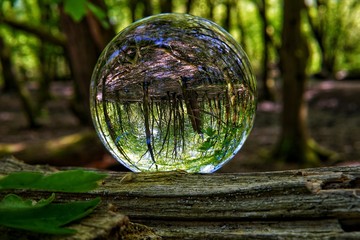 Fototapeta na wymiar Lens Ball in the woods