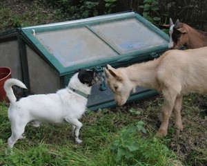 On fait connaissance