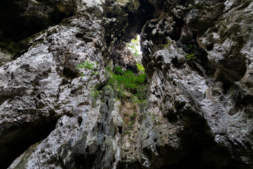 Panorama landscape view of big limestone passage or cave from inside to outside. travel or explore world concept