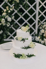 
the wedding cake