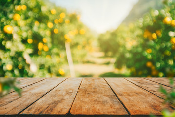 Empty wood table with free space over orange trees, orange field background. For product display montage