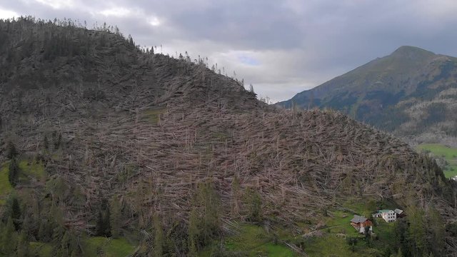 Dolomiti tempesta ottobre 2019 foreste abbattute ripresa catastrofe dal drone