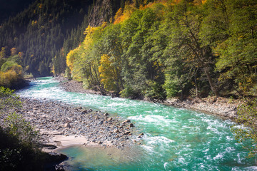 View of the river in the mountains in the middle of autumn trees. Autumn high in the mountains, autumn landscape