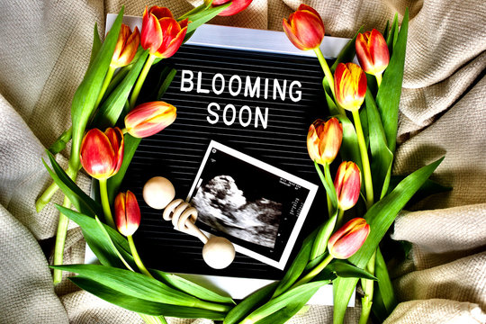 Spring Pregnancy Announcment 