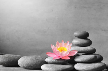 Stack of grey massage stones on grey background and lotus flower.