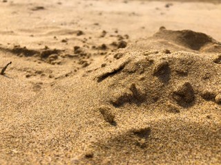 Sand