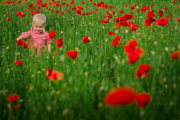 Baby in poppy field. Child in flower fields. Very happy child girl in poppy field
