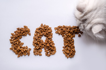 White cat has cat inscription written dry food