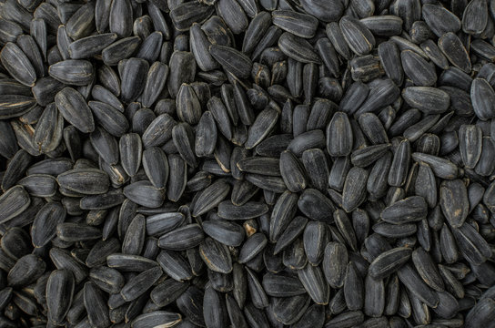 Black sunflower seeds