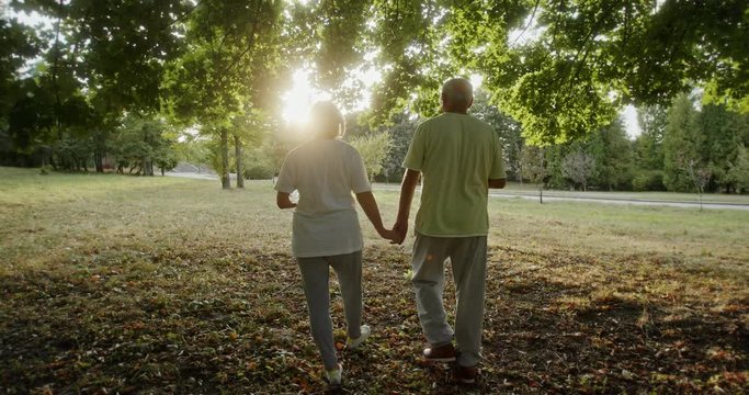 Loving elderly couple walking hand in hand under the trees in a park viewed from the rear in a concept of active living during retirement