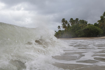 The beach of Les Salines near to Sainte Anne, Martinique.