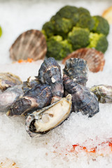 Far Eastern oysters on a crumb of ice. Showcase in a restaurant.