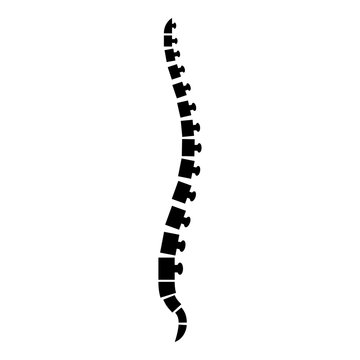Spine human Spinal Lateral view Vertebras Dorsal vertebrae icon black color vector illustration flat style image