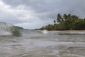 The beach of Les Salines near to Sainte Anne, Martinique.