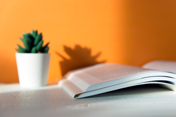 book on an orange background, flower, sun
