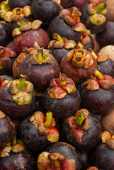 Mangosteen fruit