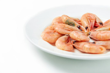 shrimp in a plate on a white background