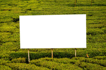 billboard banner in India Kerala Munnar tea plantations