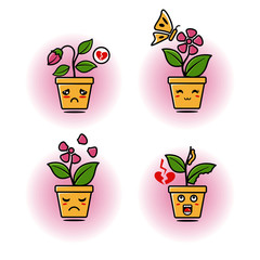 flowers in pots