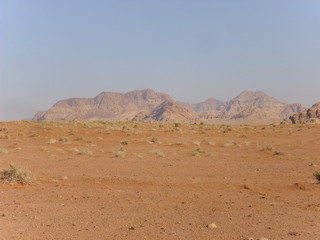 desert in the desert