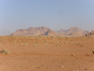 Fototapeta na wymiar desert in the desert