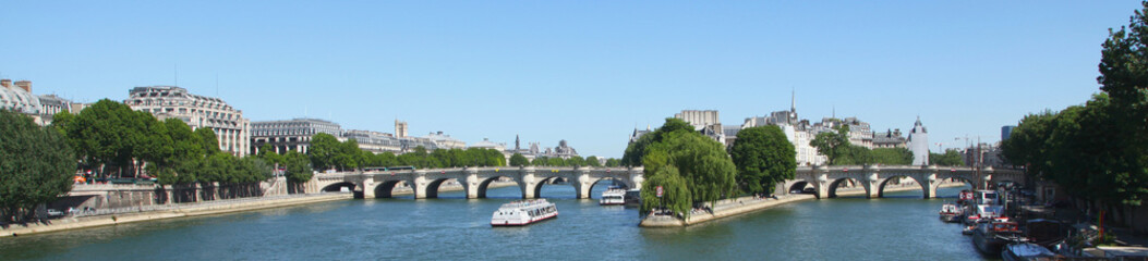 Fototapeta na wymiar Pont Neuf à Paris