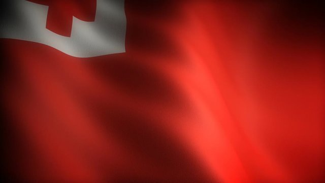 Flag of Tonga (seamless)