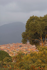 Vecindario SUR. Entre monta&ntilde;as y eucaliptos, se desprende una ciudad. Bogot&aacute;, Colombia.