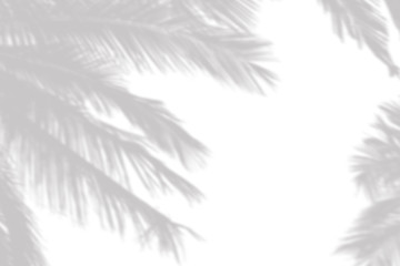Blurred overlay effect for photo. Gray shadow of the palm leaves on a white wall. Abstract neutral nature concept background. Dappled light. Shadows for natural light effects