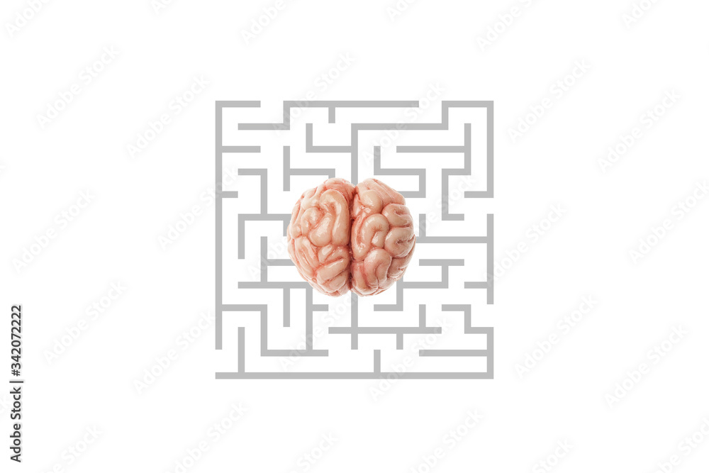 Poster human brain in a maze isolated on a white background. smart and rational way out of a difficult situ