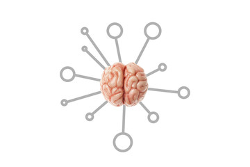 Human brain and memory, concept. Creative problem solving, science of the mind.