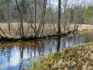 Fototapeta na wymiar early spring landscape, tree silhouettes on the river bank