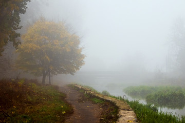 Obraz na płótnie Canvas Thick fog in autumn park, walkway in park