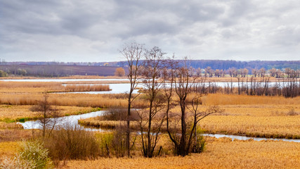 Spring landscape with trees on the shore winding river and cloudy sky