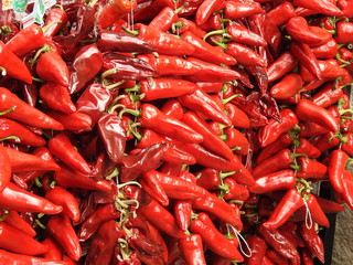 pimiento del piquillo