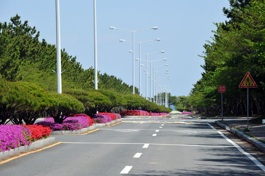 Spring Flower Bed Median Strip And Empty Road.