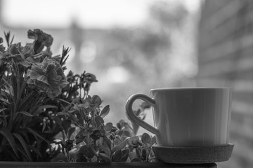 Close-up: Monochrome Image of Mug on Windowsill Next to Blooming Flowers - on Blurred Street Background, Copy Space. Dull Time of Pandemic. Insomnia. 