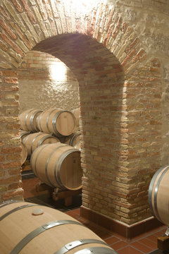  bodega