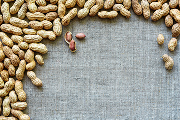 Inshell peanuts are scattered on a gray canvas.