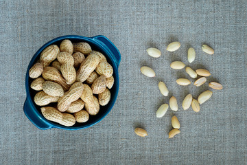 Roasted peanuts in a blue bowl on a gray, horizontal, canvas background
