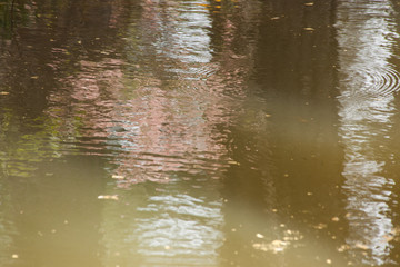 Abstraction of reflection in lake