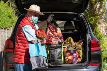 England UK. 2020. Elderly man wearing mask and gloves unloading the weekly shop and some colourful flowers from a car. During Covid-19.