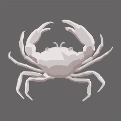 Abstract isolated polygonal sea crab